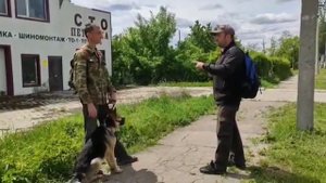 Агрессивное поведение