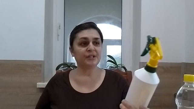 Избавляемся от блох в помещении без ядохимикатов.
