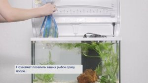 Tetra SafeStart – поселите рыбок сразу