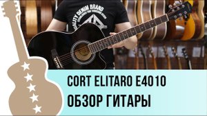 Elitaro E4010 обзор гитары