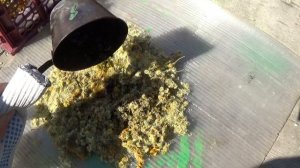 Как изготовить ведьмину свечу? Свечи из воска.