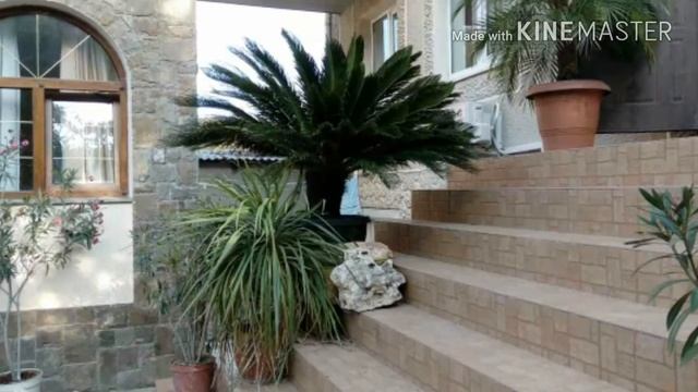 Отдых в Крыму морское смотреть онлайн