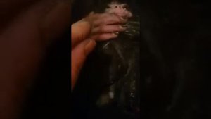 В Карачаево - Черкесии поймали Домового....сегодня, 10:48