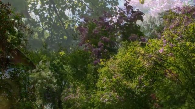 Не забыть мне отчий дом. смотреть онлайн