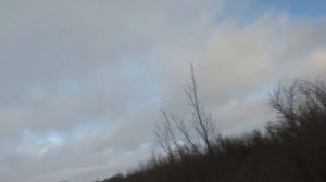 «Заяц после Дождя» Охота на зайца в Саратовской области