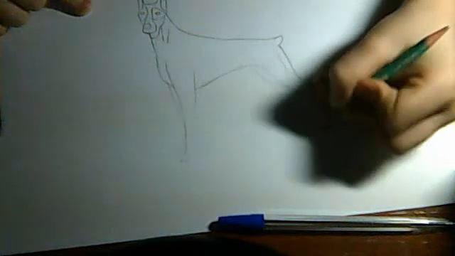 Видео с веб-камеры. Дата: 8 февраля 2014 г., 23:05. смотреть онлайн