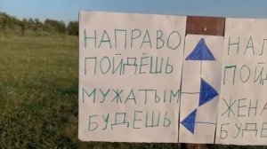 Аликондра топ☝