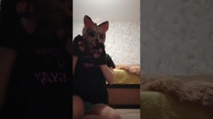 Туториал на прыжки в квадробике