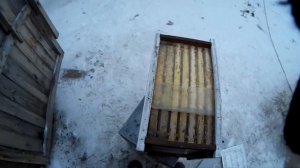 Улей из сэндвич-панелей. Готовим к суровой зиме.
