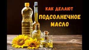 Как делают подсолнечное масло_How to make sunflower oil