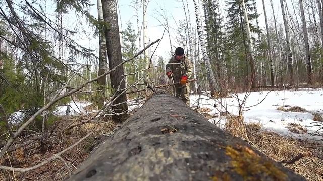 ЛЕСНАЯ СКОВОРОДА/СОЛО БУШКРАФ/SOLO BUSHCRAFT/FOREST PAN...