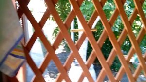 дача мечты!!