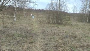 Арбалет блочный Ek Cobra System Siege 300 - Пристрелка на 50м из положения лежа
