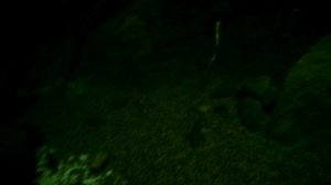 Необыкновенные рыбешки.