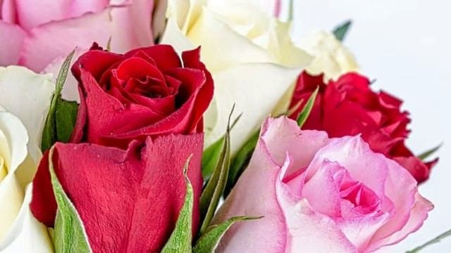 С_ДНЕМ_РОЖДЕНИЯ_МУЗЫКАЛЬНАЯ_ОТКРЫТКА_ПОЗДРАВЛЕНИЕ(1).mp4