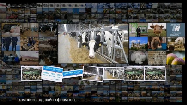 Самая крупная молочная ферма Центральной России открыта в Рязанской области