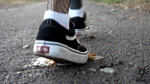 Crush Eggs Slow Motion Vans (Helga Li)