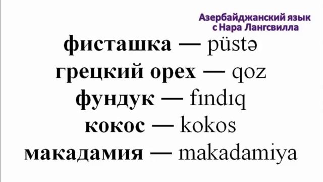 Азербайджанские слова / Орехи / Сухофрукты /Azərbaycan dili /Quru meyvələr / Нара Лангсвилла