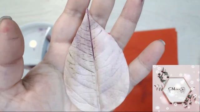 Пуансеттия, часть 4 смотреть онлайн