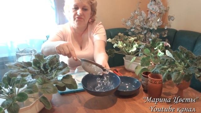МЕГА СПОСОБ, О КОТОРОМ ВЫ НЕ ЗНАЛИ!!! Черенкование фиалок (сенполий) в гидрогель. Уход, выращивание