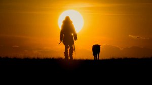 РОЖДЕНИЕ НОВОГО МИРА Игорь Евдокимов