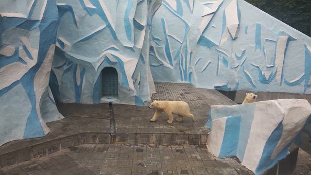 Новосибирск  День второй смотреть онлайн