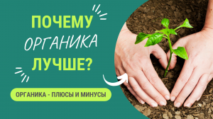 ПОЧЕМУ МЫ ВЫБИРАЕМ ОРГАНИКУ?