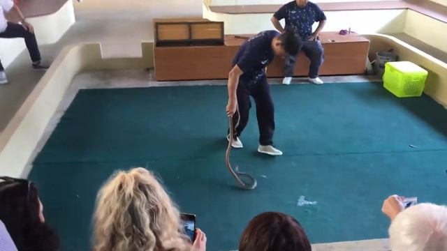 Ужас. Поцелуй ядовитой змеи смотреть онлайн