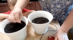 ПОСАДИЛИ ЦВЕТЫ. ЗАТОПИЛИ БАНЬКУ..(11 серия)