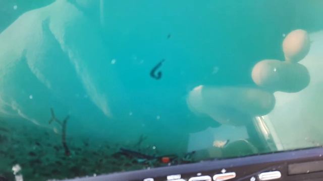 Навага. Владивосток. Подллёдный лов. смотреть онлайн