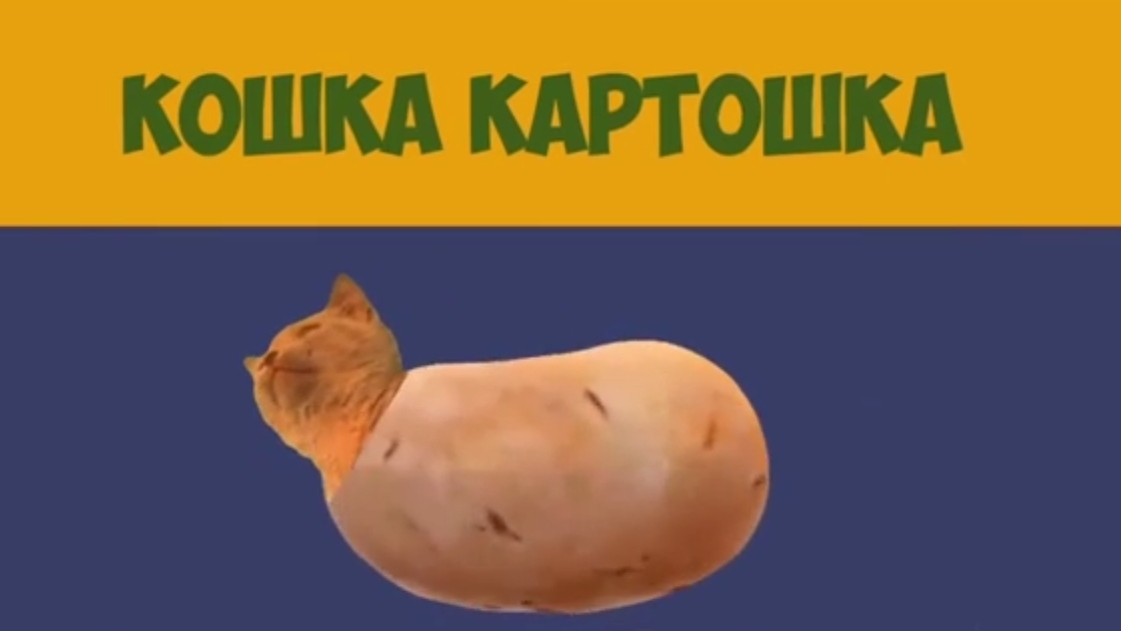 Кошка картошка