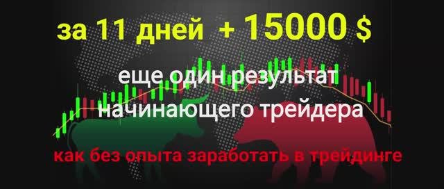 результаты начинающих трейдеров