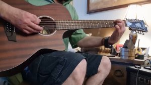 12 string D'Angelico acoustic electric guitar.