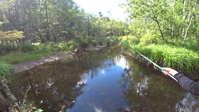 Хариус речки Федосеиха. смотреть онлайн
