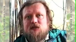 Лук репчатый