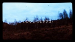 Весенняя охота на вальдшнепа