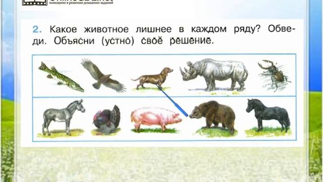 Рабочая тетрадь окружающий мир какие бывают животные. Дикие и домашние животные Плешаков. Задания по окружающему миру 2 класс Дикие животные. Дикие и домашние животные 2 класс окружающий мир рабочая тетрадь. Окружающий мир 1 класс рабочая тетрадь Дикие животные.