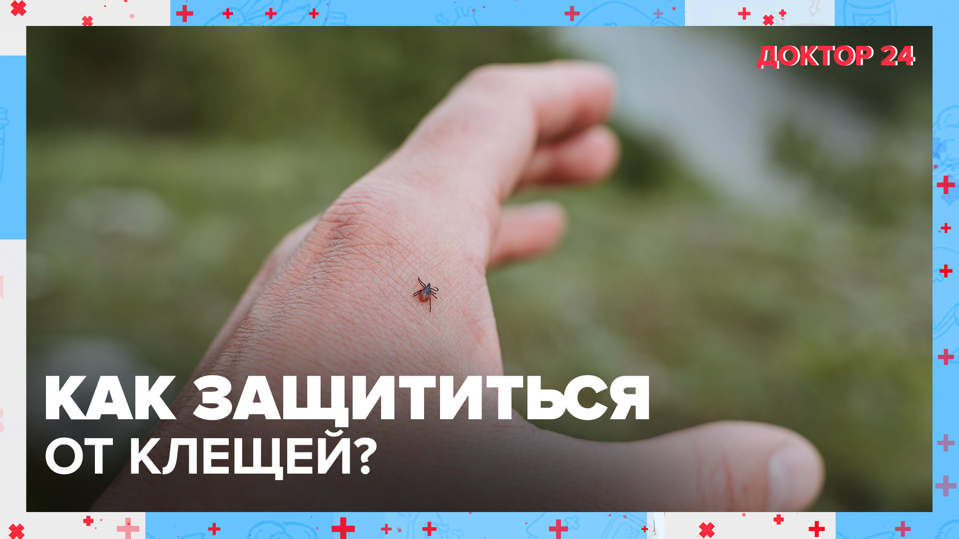 Как защититься от КЛЕЩЕЙ? | Доктор 24