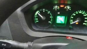 Газон некст