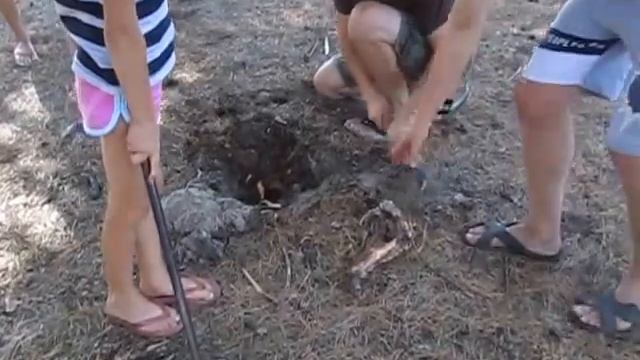 побыкорчевывали все пеньки и корни смотреть онлайн