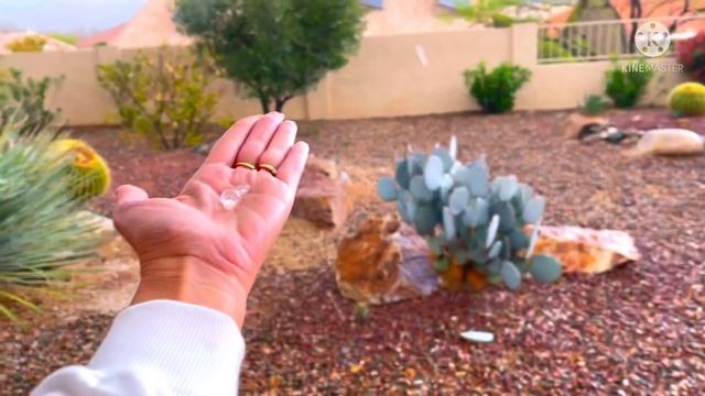 КОШМАР КОНЕЧНО В АРИЗОНЕ. СРЕДЬ БЕЛА ДНЯ смотреть онлайн