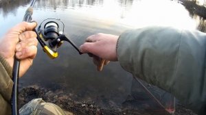 Ловля форели на пасту в проводку