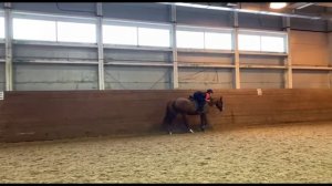 Vlog: тренировка/ конный день