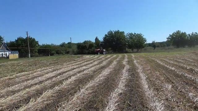 ворошение валков Суданки граблями Солнышко/трактор DW 244 AT смотреть онлайн