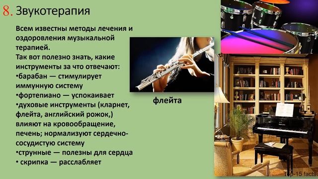 Скрипка |Топ-15 фактов