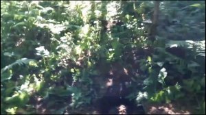 Найдена редкая домонгольская привеска 12-13 век