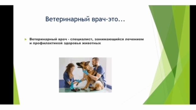 Талдықорған агро-техникалық колледжі Керимбекова Ж.М. Типы речи смотреть онлайн