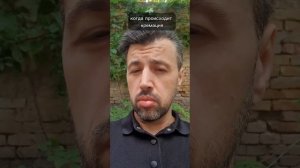 Кремация или погребение - что лучше?