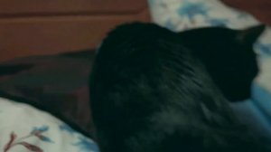 Игорёк- Ну и что