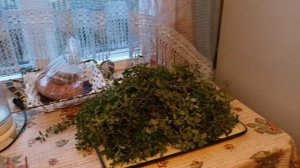 Набрала брусничный лист#лесныедары#